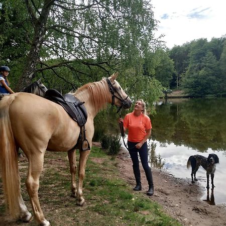 L'Echappee Verte - Gite Equestre 5 Pers Soucht エクステリア 写真
