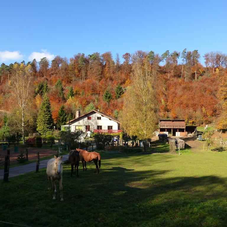 L'Echappee Verte - Gite Equestre 5 Pers Soucht 部屋 写真