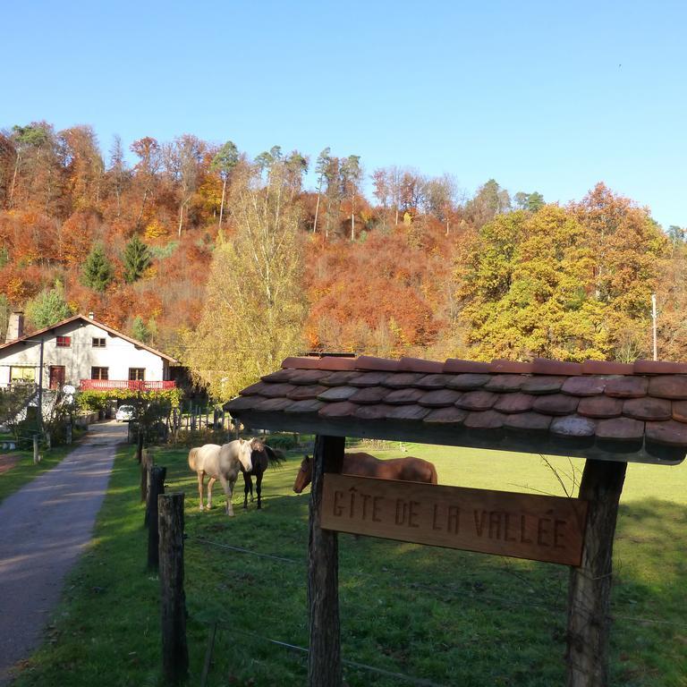 L'Echappee Verte - Gite Equestre 5 Pers Soucht 部屋 写真