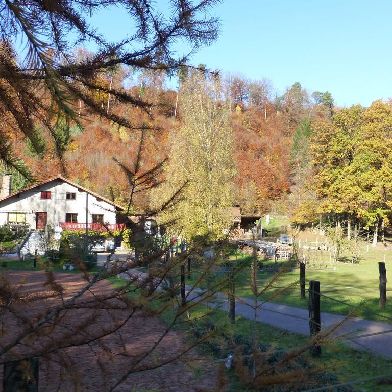 L'Echappee Verte - Gite Equestre 5 Pers Soucht 部屋 写真