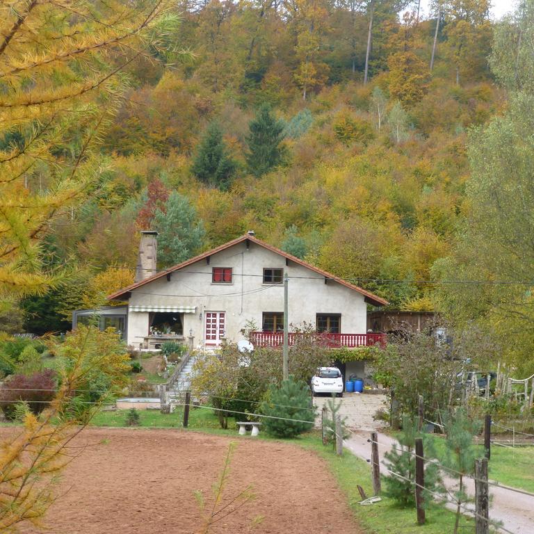 L'Echappee Verte - Gite Equestre 5 Pers Soucht エクステリア 写真