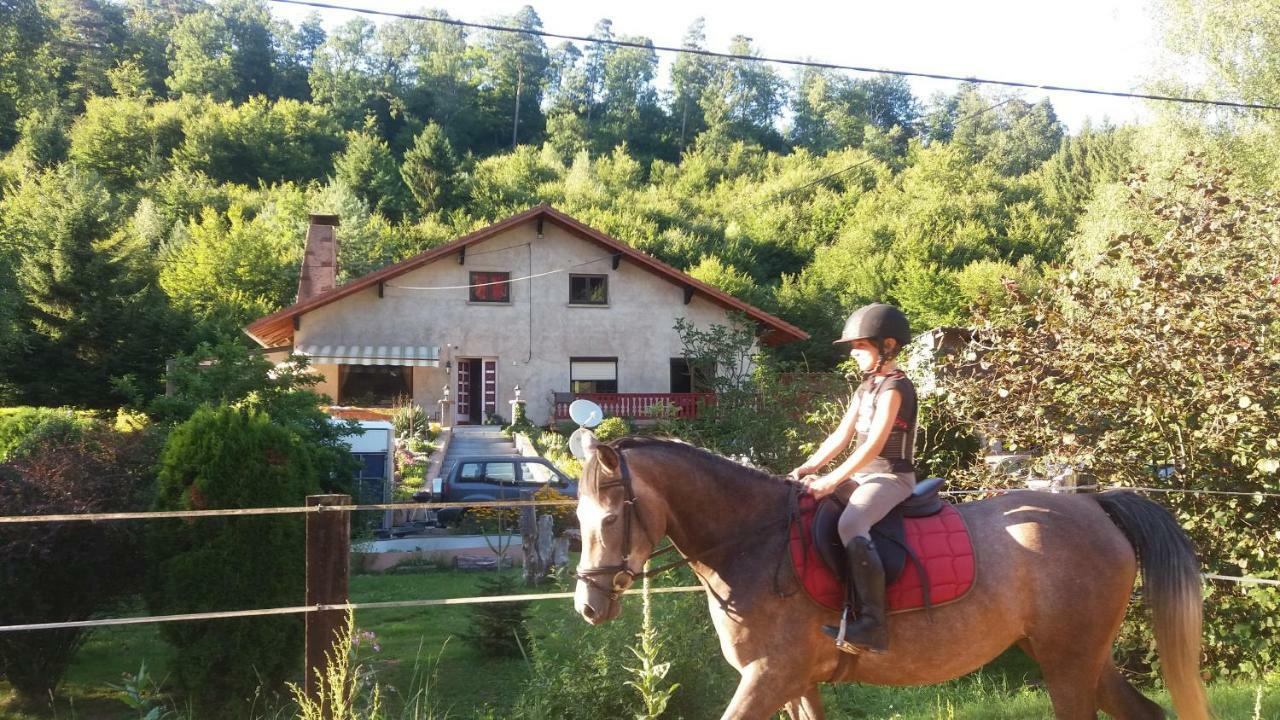 L'Echappee Verte - Gite Equestre 5 Pers Soucht エクステリア 写真