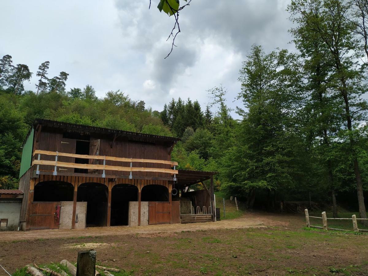 L'Echappee Verte - Gite Equestre 5 Pers Soucht エクステリア 写真
